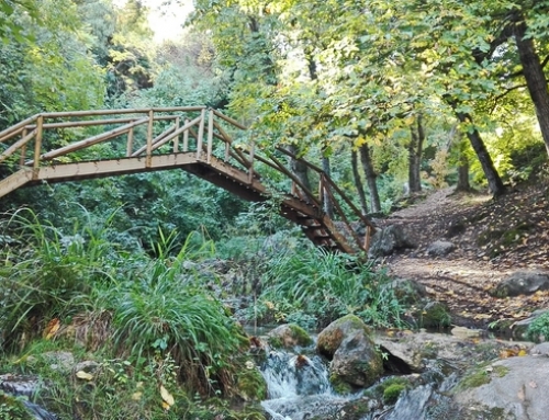 The colors of Autumn come to Cazorla