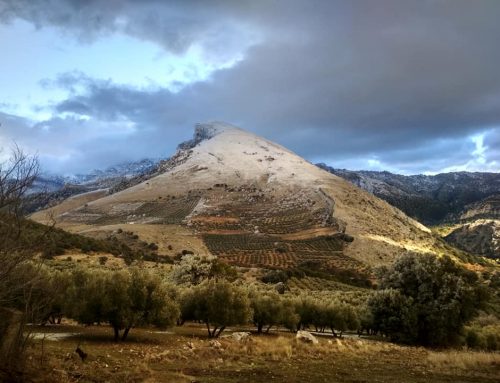 El Invierno en Quesada